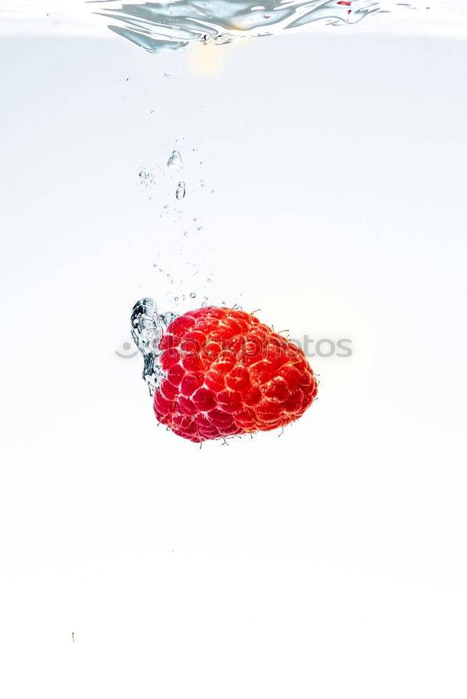 Image, Stock Photo splash Delicious Animal