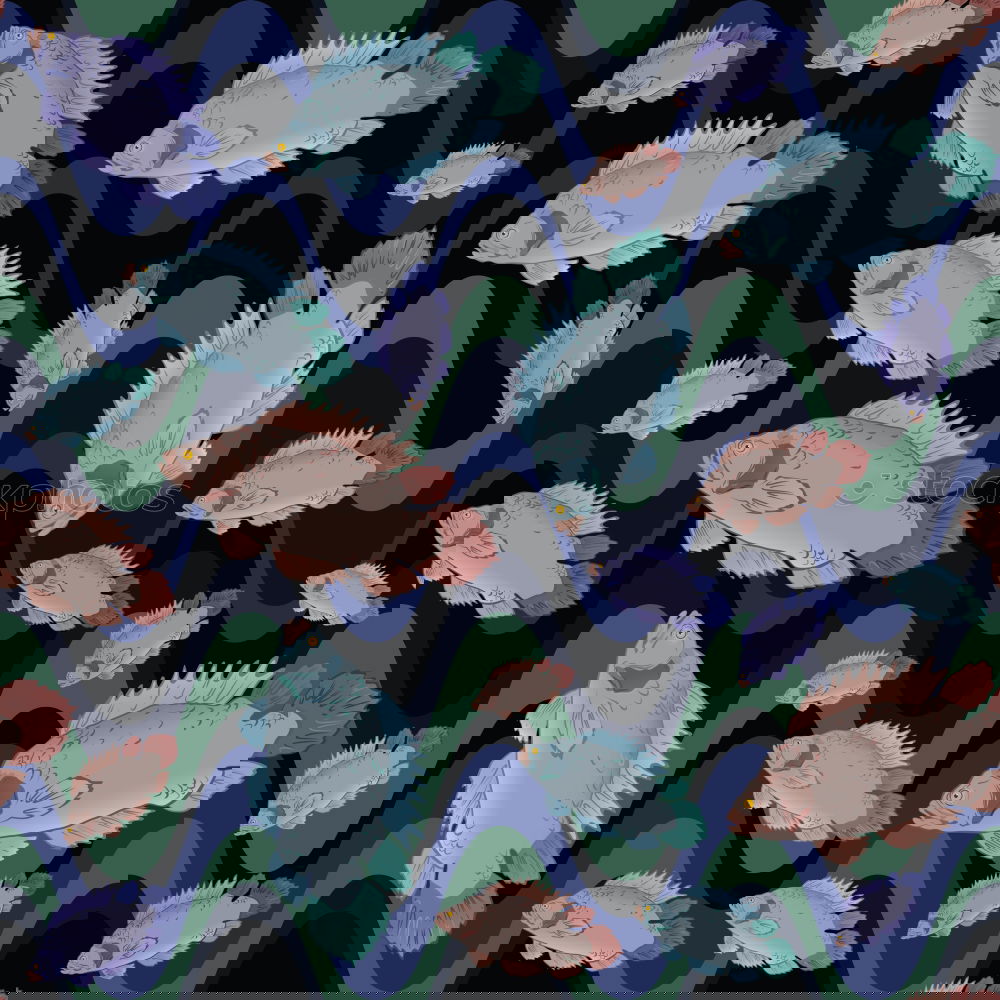 Similar – Image, Stock Photo like the fishes Fish Ocean