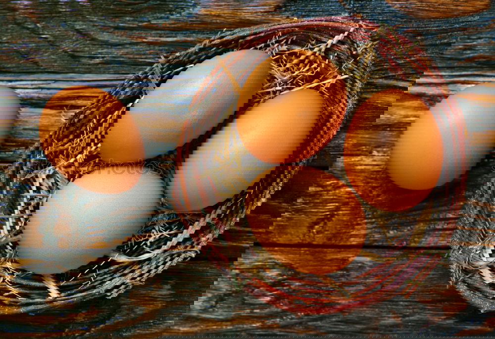 Similar – Image, Stock Photo Fresh chicken eggs in the nest on a rustic background