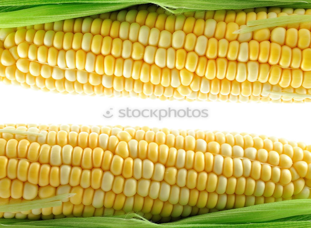 Image, Stock Photo eat corn Food Grain Picnic