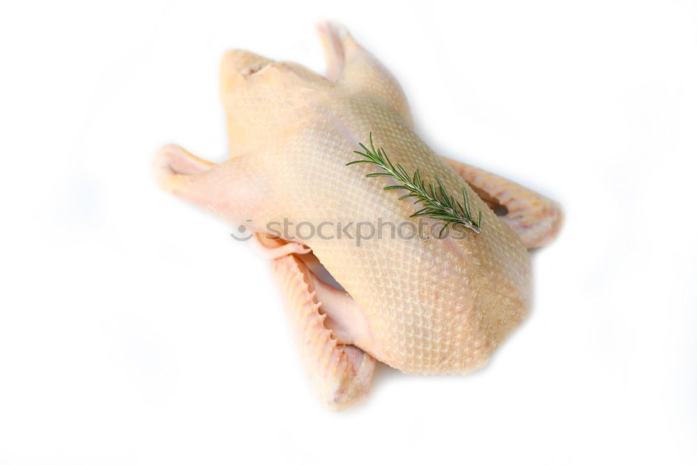 Similar – Image, Stock Photo mouse and hand Hand