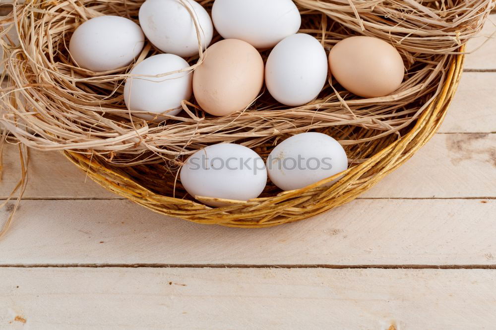 Similar – Natural eggs in nest