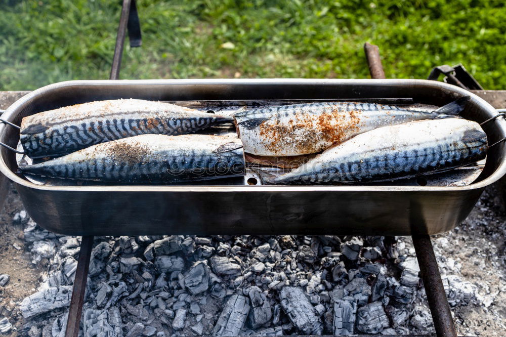 Similar – Grillfisch Fisch