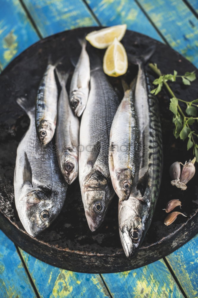 Raw fish. Sea bream, sea bass, mackerel and sardines