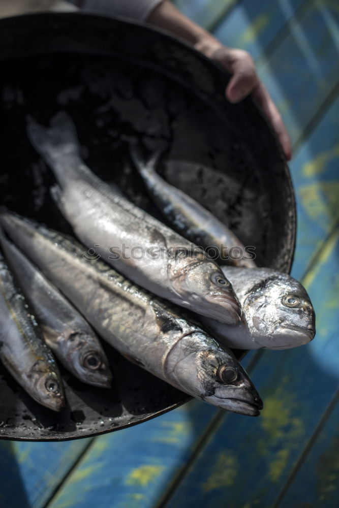 Similar – Raw fish. Sea bream, sea bass, mackerel and sardines