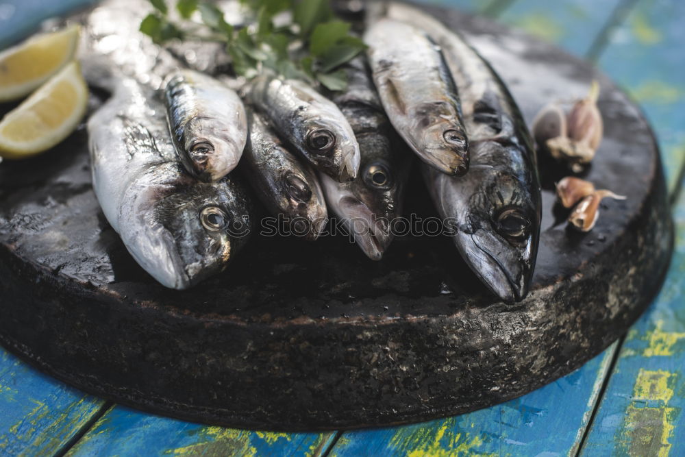 Similar – Image, Stock Photo two whole mackerels Fish