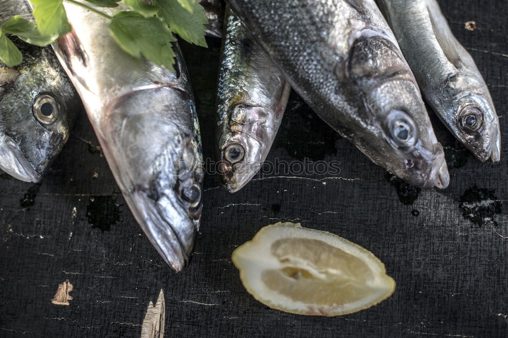 Similar – Raw fish. Sea bream, sea bass, mackerel and sardines