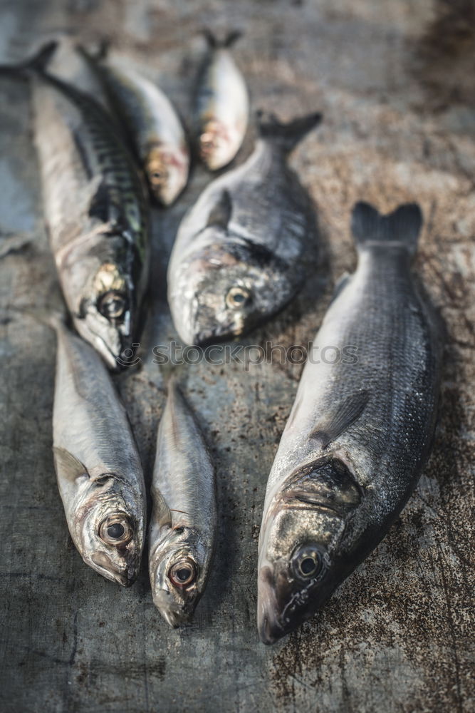 Similar – O Food Fish Nutrition