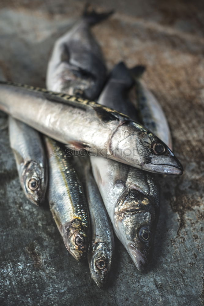 Similar – Image, Stock Photo Raw Sea bream fish on dark