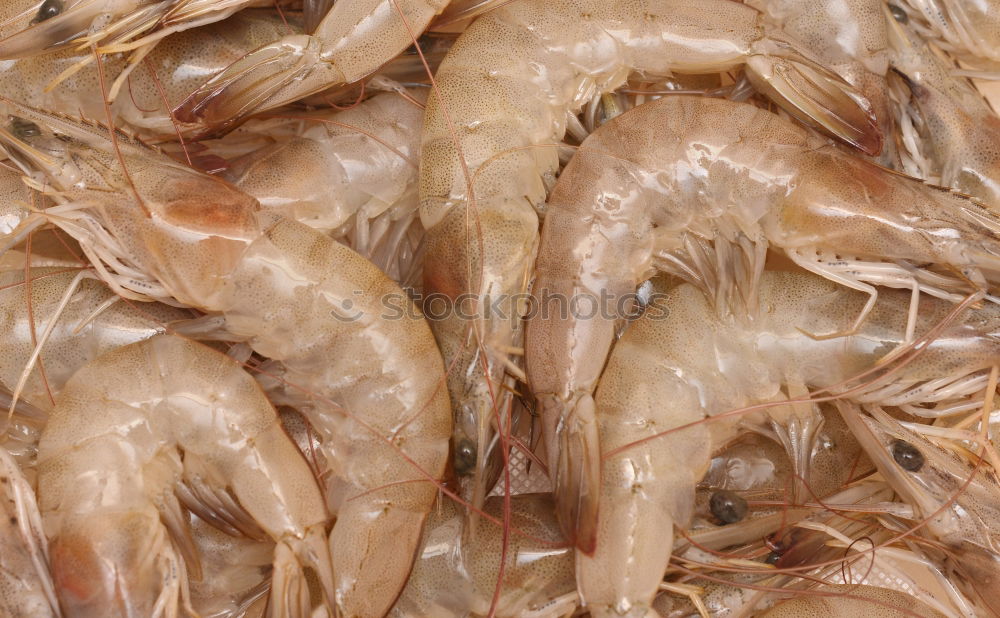 Similar – Image, Stock Photo prawns Food Seafood