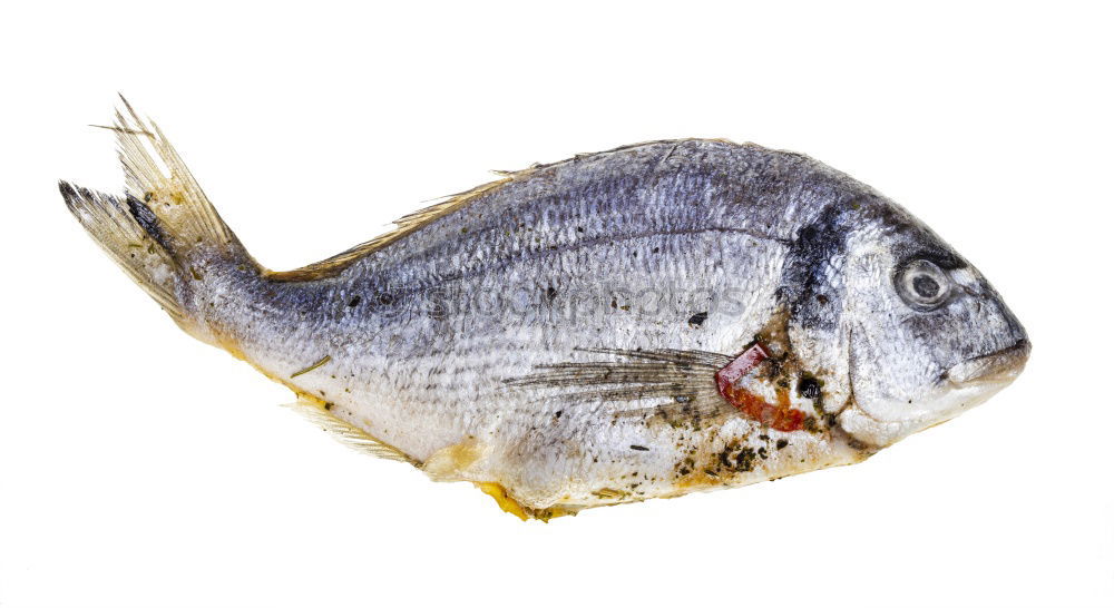 Similar – Fisch lecker Ernährung