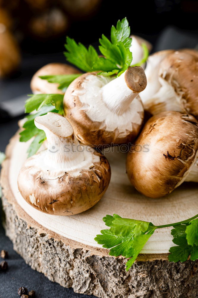 Similar – Image, Stock Photo porcini mushrooms Boletus