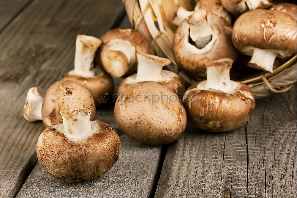 Similar – Image, Stock Photo golden chanterelle mushrooms with herbal spices