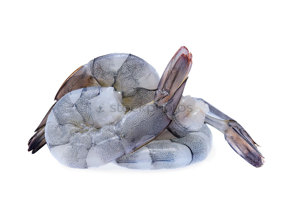 Similar – Image, Stock Photo fresh fish Food Fish