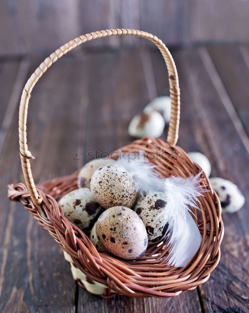 Similar – Image, Stock Photo Three fresh quail eggs on a gray wooden surface