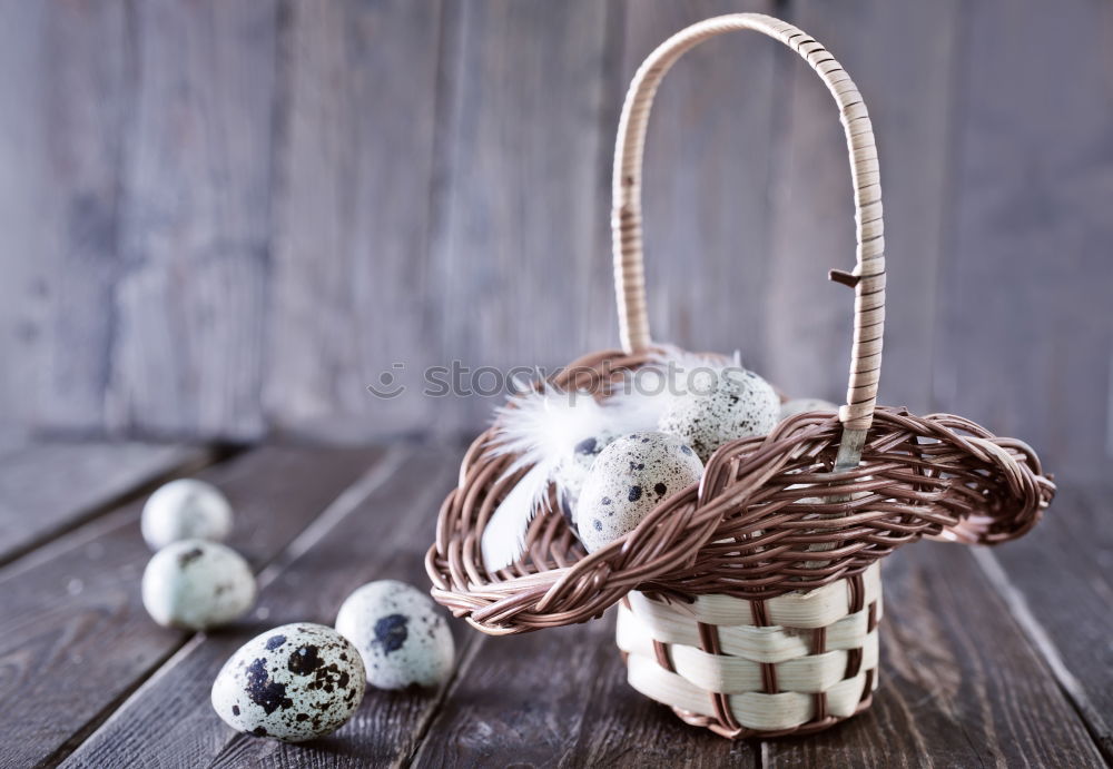 Image, Stock Photo Fresh quail eggs in an orange bucket