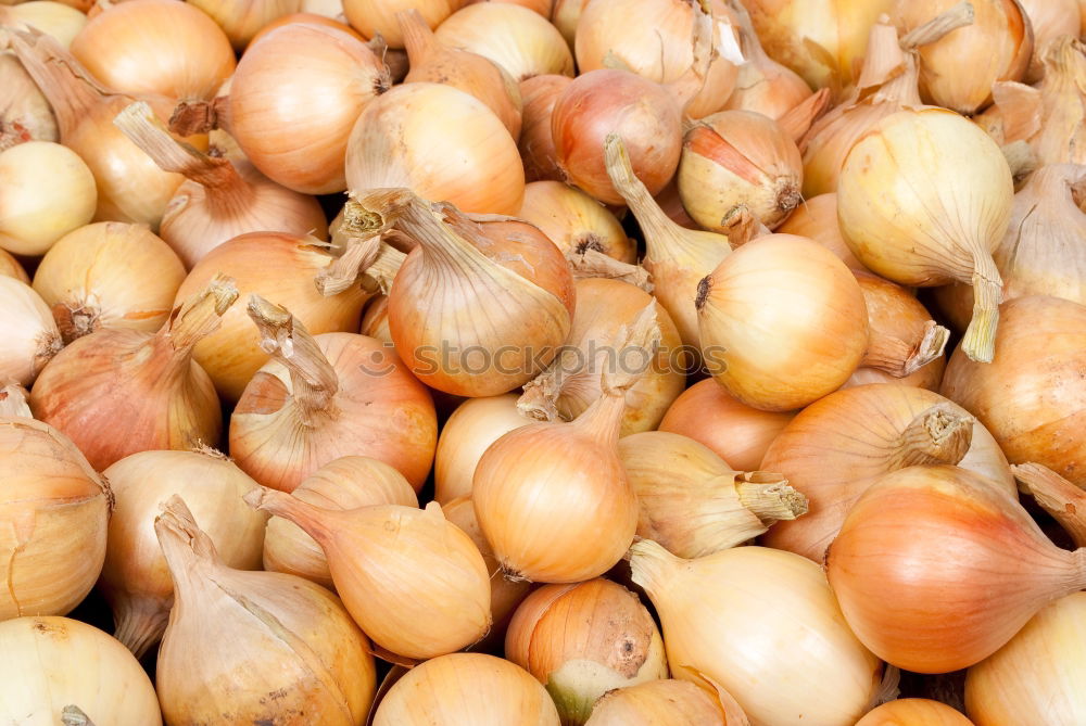 Image, Stock Photo Onions & Ginger Food