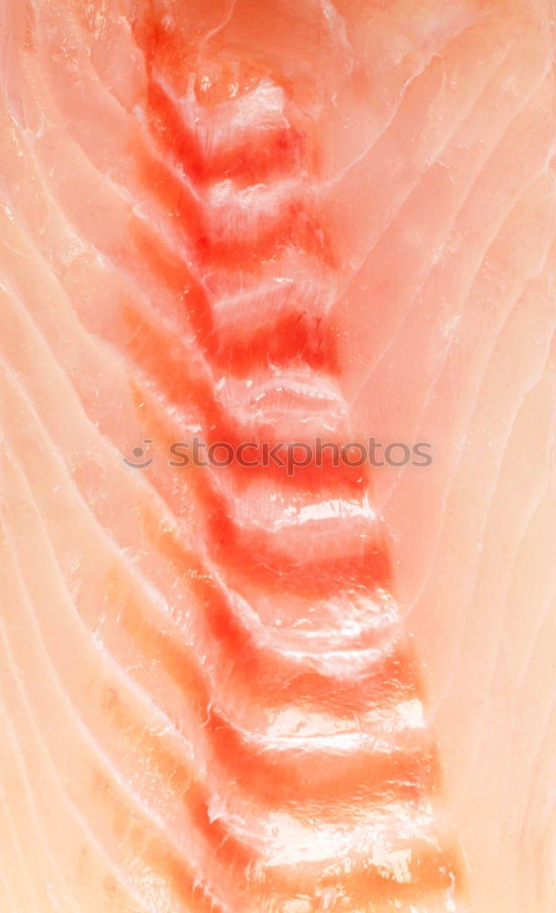 Similar – Image, Stock Photo fish factory Food Fish