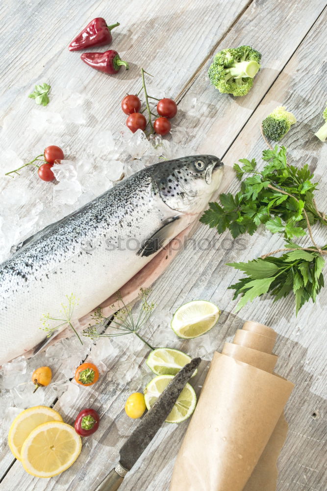 Similar – Image, Stock Photo Raw salmon fish in ice and vegetables