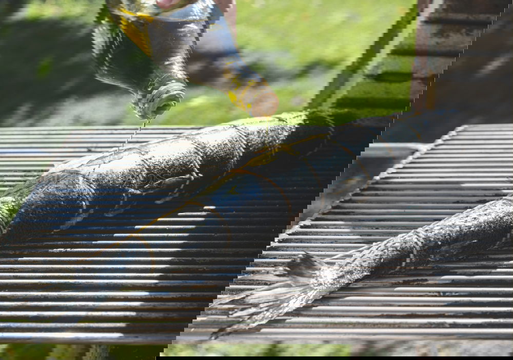 Image, Stock Photo Raw salmon fish on grill.