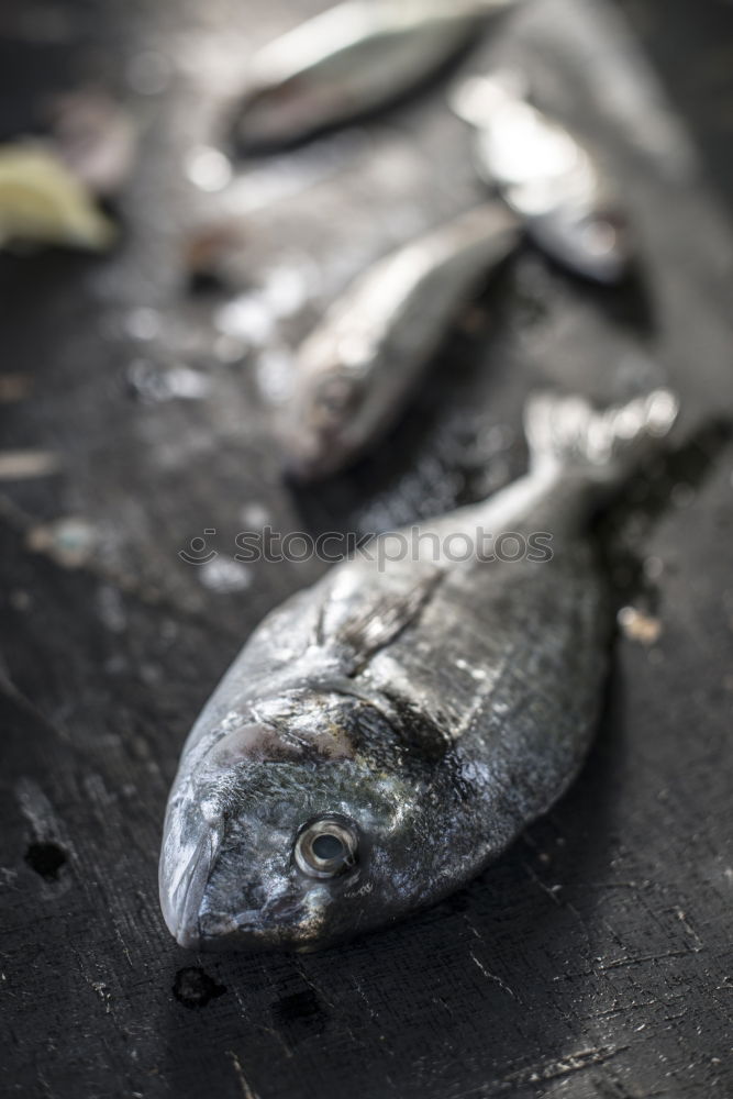 Similar – Grillfisch Fisch