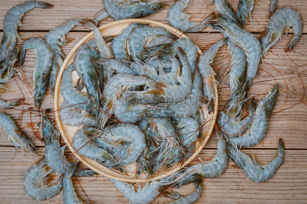 Similar – Image, Stock Photo Various seafood on blue with algae