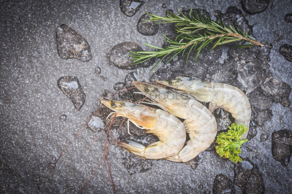 Similar – Foto Bild Es gibt Fisch, Baby!