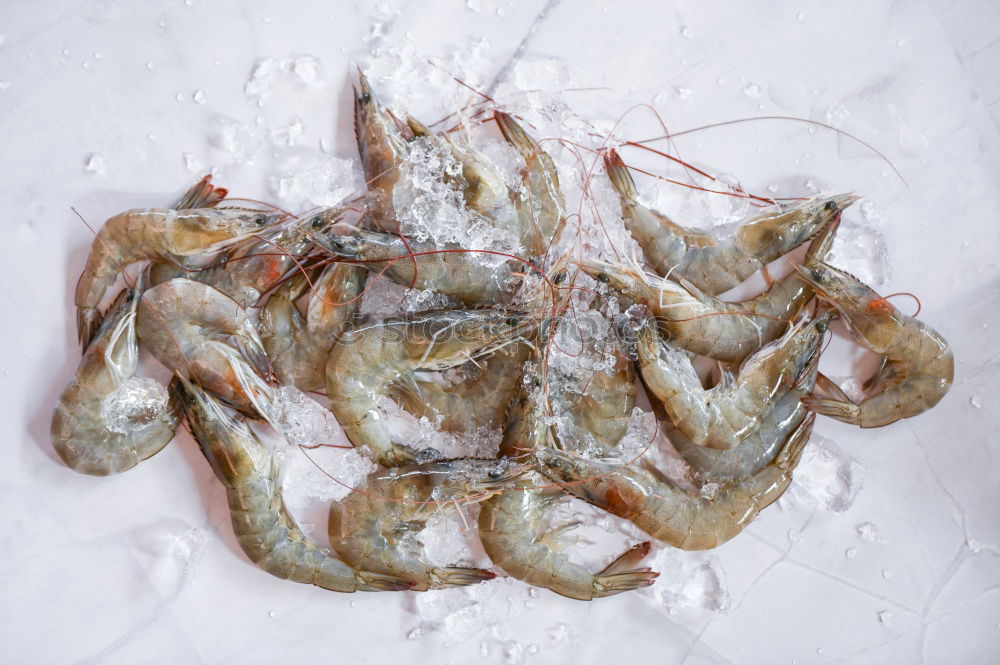 Similar – Image, Stock Photo Dried in salt fish rammed in scales