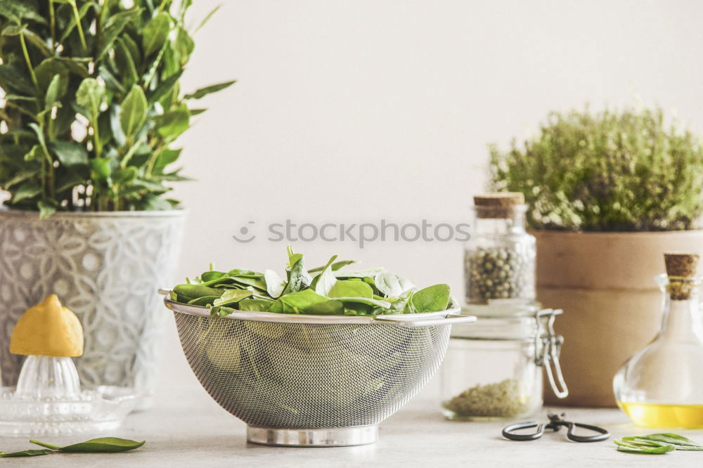 Similar – Image, Stock Photo Asparagus with ingredients on the kitchen table at the window