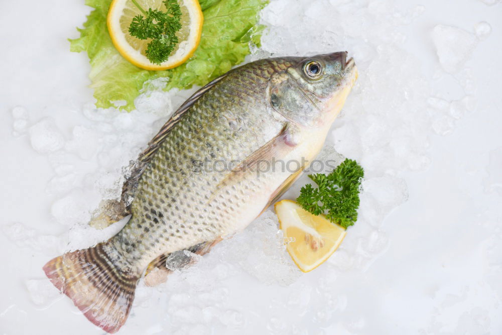 Similar – Image, Stock Photo Fresh char with ingredients for fish dishes