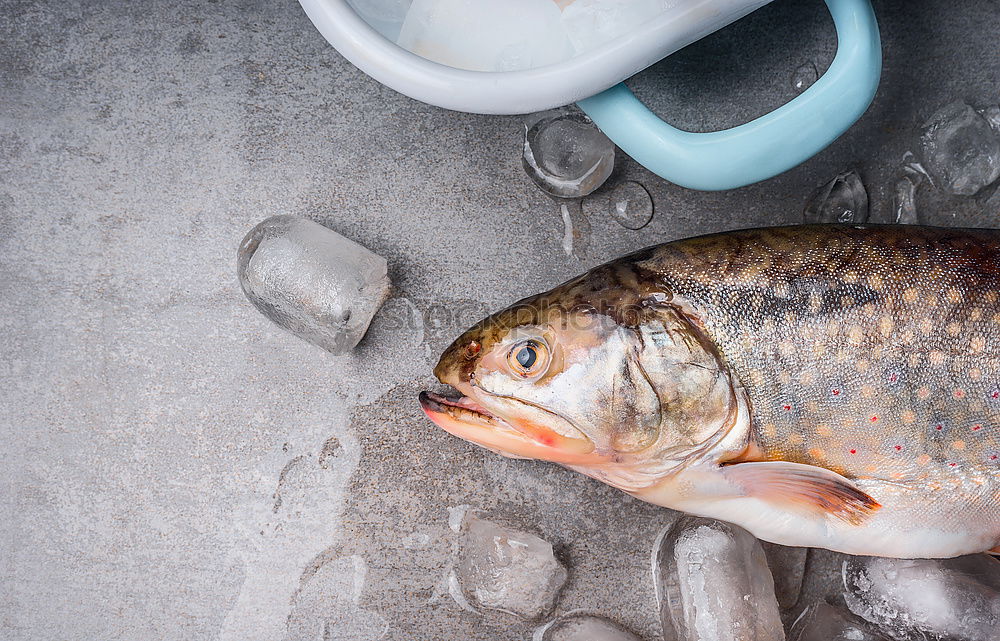 Image, Stock Photo Trout with ice cubes Food