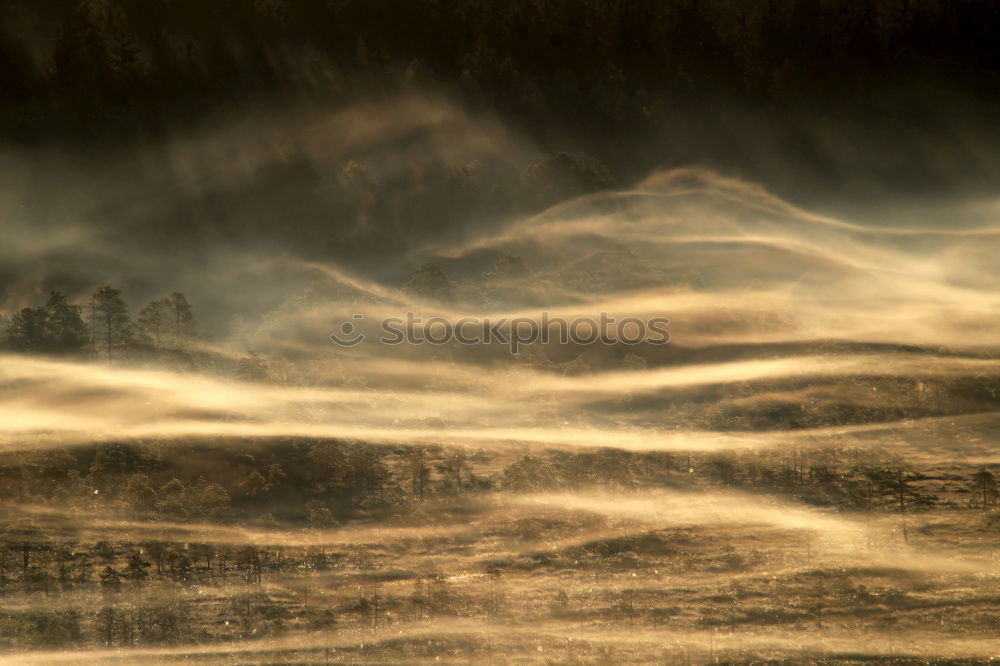 Similar – Image, Stock Photo It’s so green… Amrum