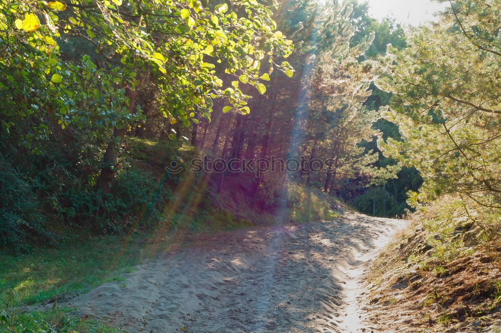 Similar – Image, Stock Photo 5 Walking ladies… Hiking