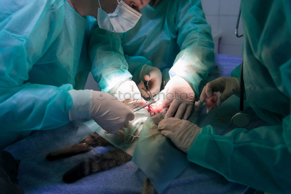 Similar – Image, Stock Photo Team of Surgeons Operating.