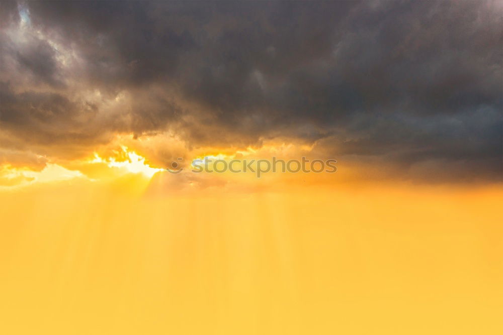 Similar – Image, Stock Photo time of awakening