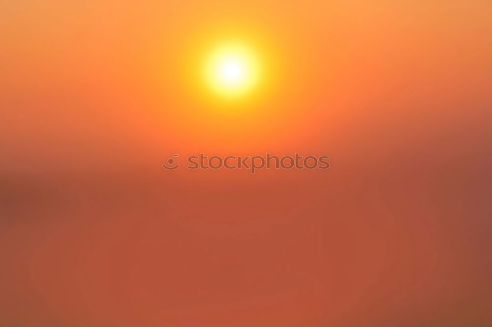 Image, Stock Photo Orange Environment Nature