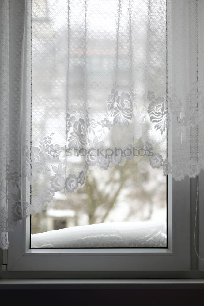 Similar – Image, Stock Photo The view Flower Window Old