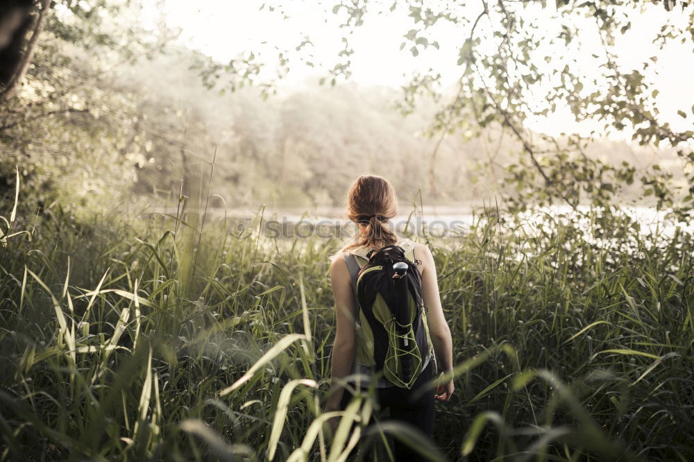 Image, Stock Photo spring awakening