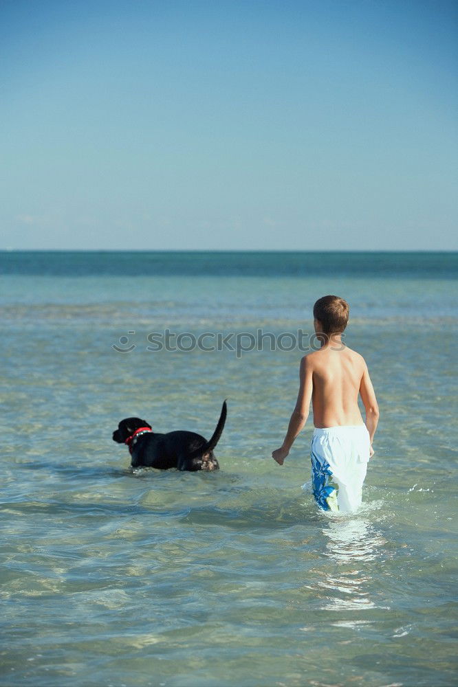 Similar – Image, Stock Photo young male playing with dog on beach during sunrise