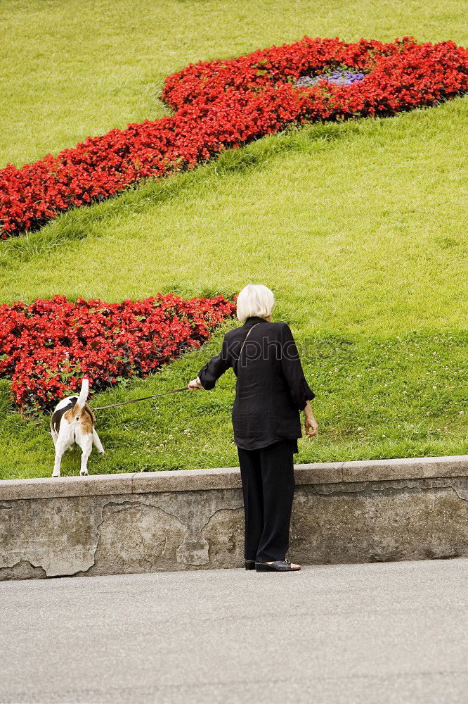 Similar – Image, Stock Photo And I don’t know Herbert I don’t know