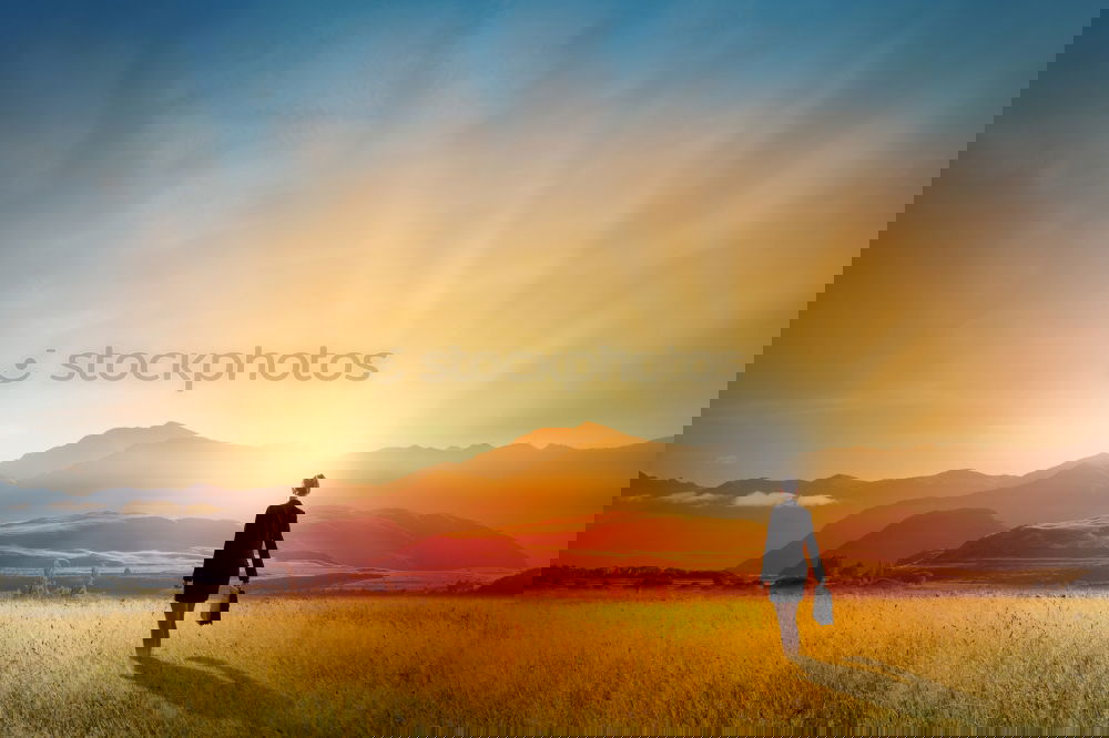 Similar – Image, Stock Photo Man walking on sunny field