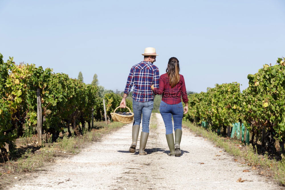 Similar – A couple of senior citizens sitting relaxed on a bench in the vineyard and enjoying the view