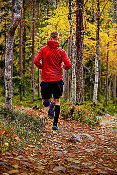 Similar – Image, Stock Photo Senior Man Running in the Forest