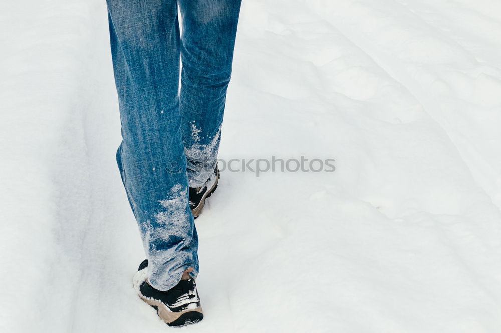 Similar – Image, Stock Photo on the snow Lifestyle