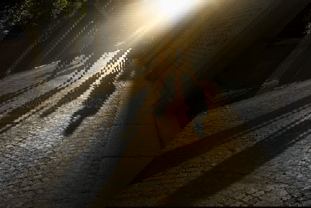 Similar – Foto Bild into the light Tübingen
