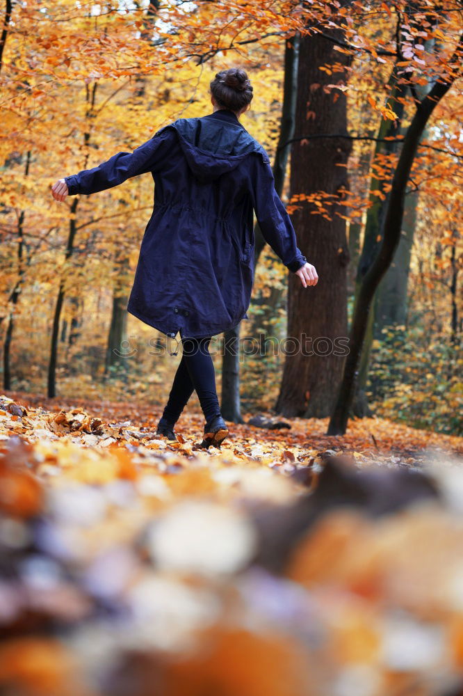 Similar – Image, Stock Photo Feet in the light Leaf