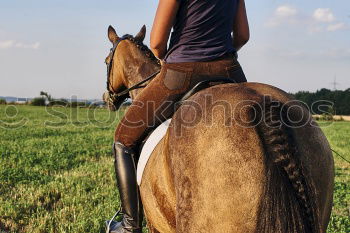 Similar – Image, Stock Photo Young woman riding a horse in nature