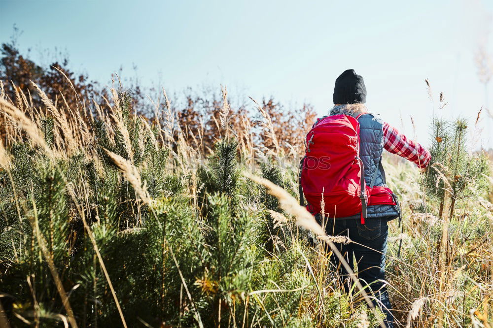 Similar – Image, Stock Photo Rear view, Young woman with hiking rucksack in green forest