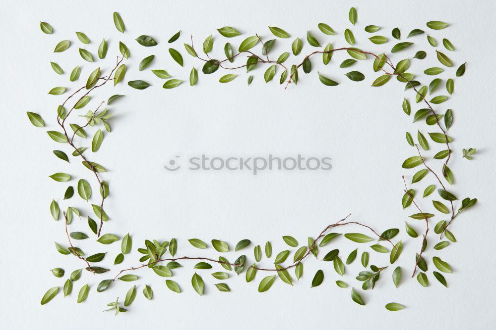 Similar – Image, Stock Photo meow Leisure and hobbies
