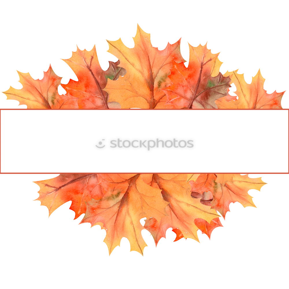 Similar – Bฺlank paper with autumn leaves and pumpkin